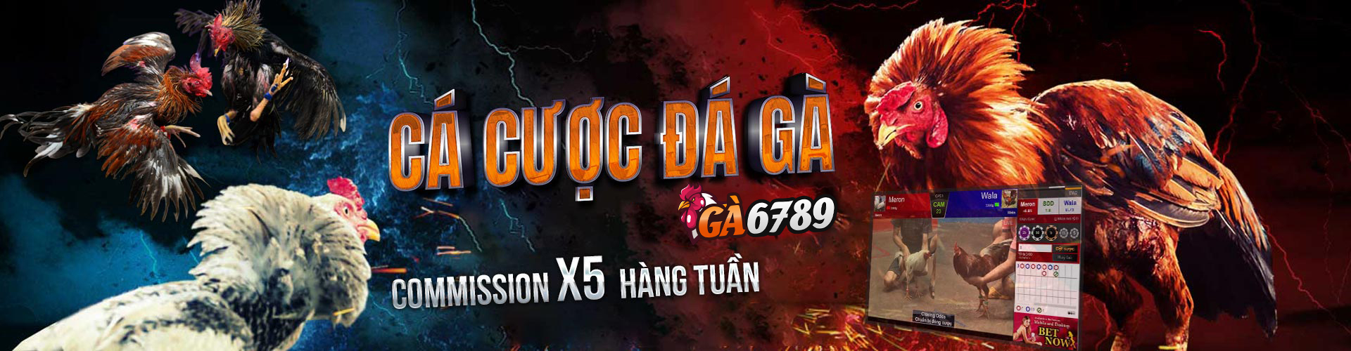 Ga6789 Ideas 🎖️ Link Vào Nhà Cái Đá Gà Thomo Campuchia 2025 9 da ga thomo ga6789
